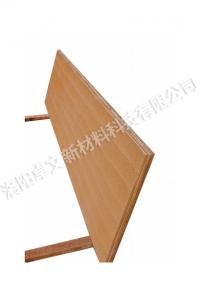 夯土墙 (2)